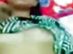 Malay - აზიელები malu-malu kucing