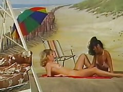 ორი, სამი at beach ფონზე