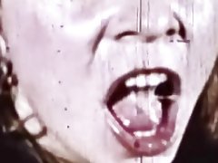 ტორტი გაკვეთილი